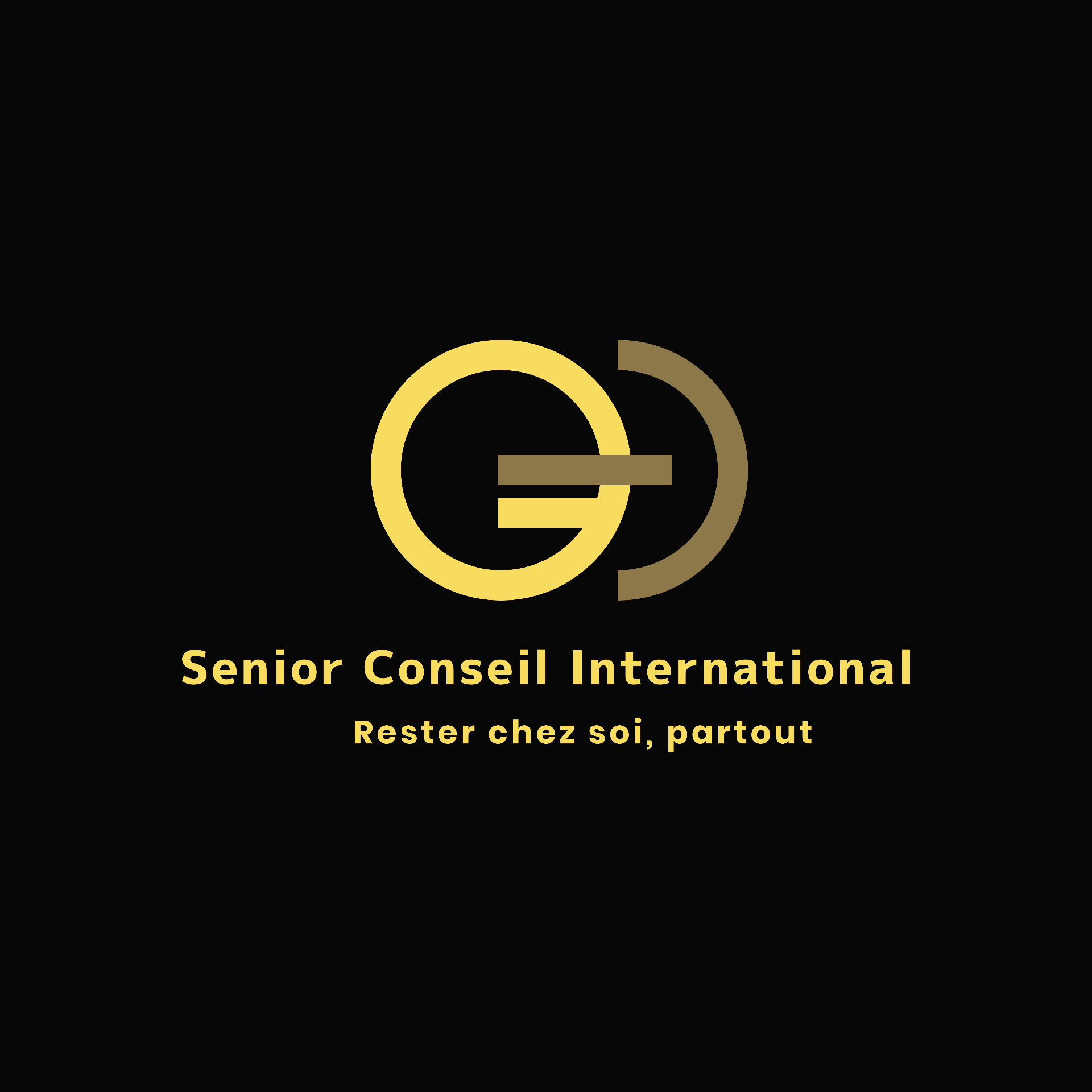 Logo du partenaire Senior Conseil International